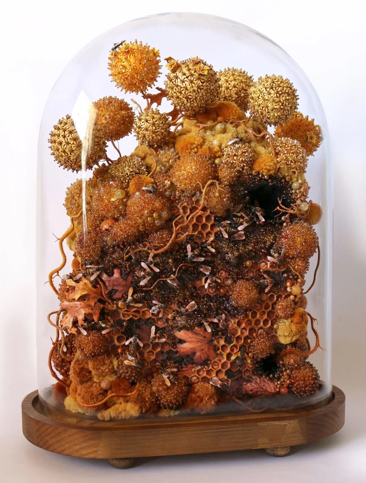 An intricate sculpture inside of a glass dome vitrine by Amy Gross of imaginative flora and honeycomb made from paper and beads