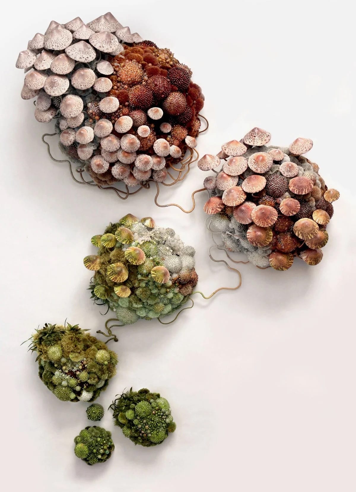 A series of intricate wall sculptures by Amy Gross of imaginative flora and fungi made from paper and beads
