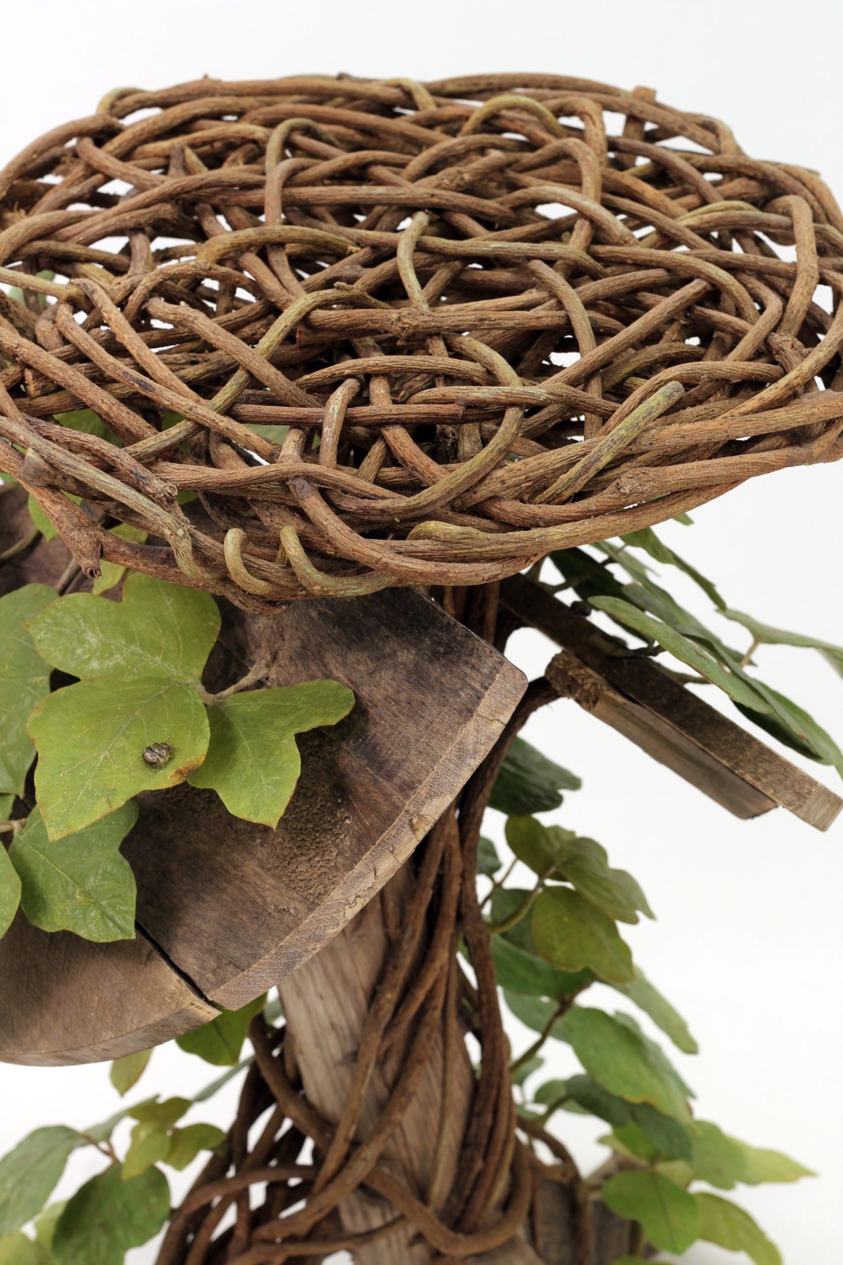 a detail image of a table with kudzu leaves and roots covering the surface and base by Joyce Lin