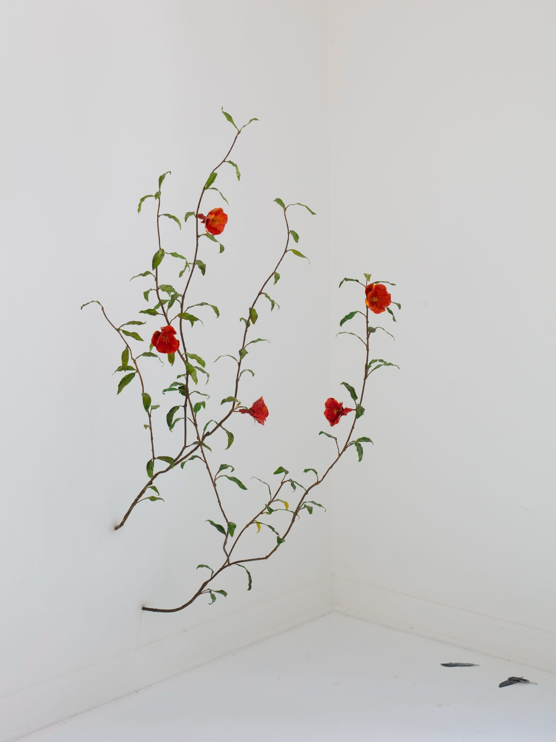 a red rose sculpture by Alvaro Urbano in a white corner