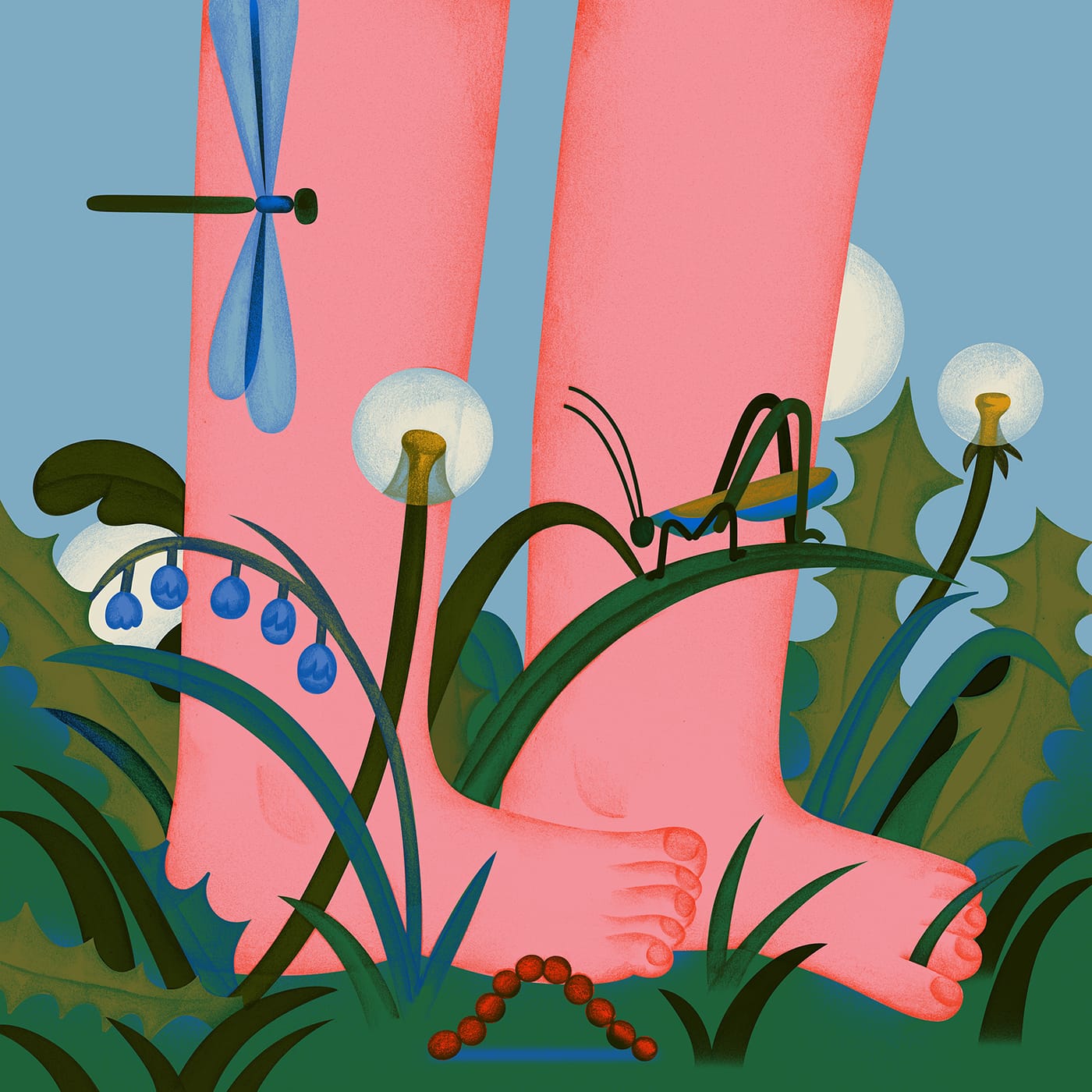 an illustration by tania yakunova of two pink feet standing in grass with flowers and a dragonfly nearby