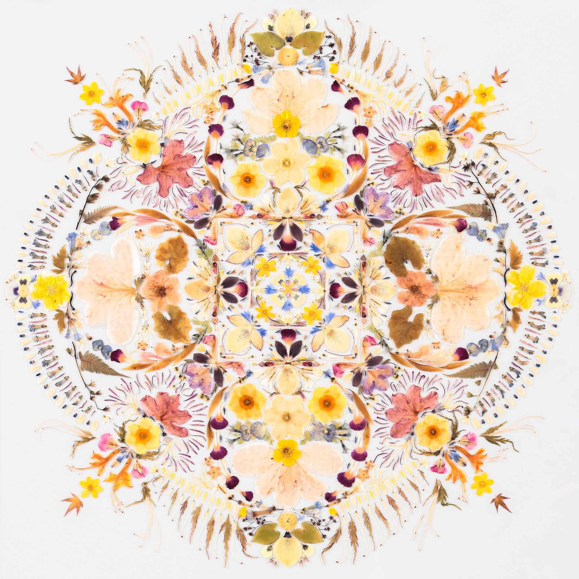 A mandala-like composition of flower petals and leaves