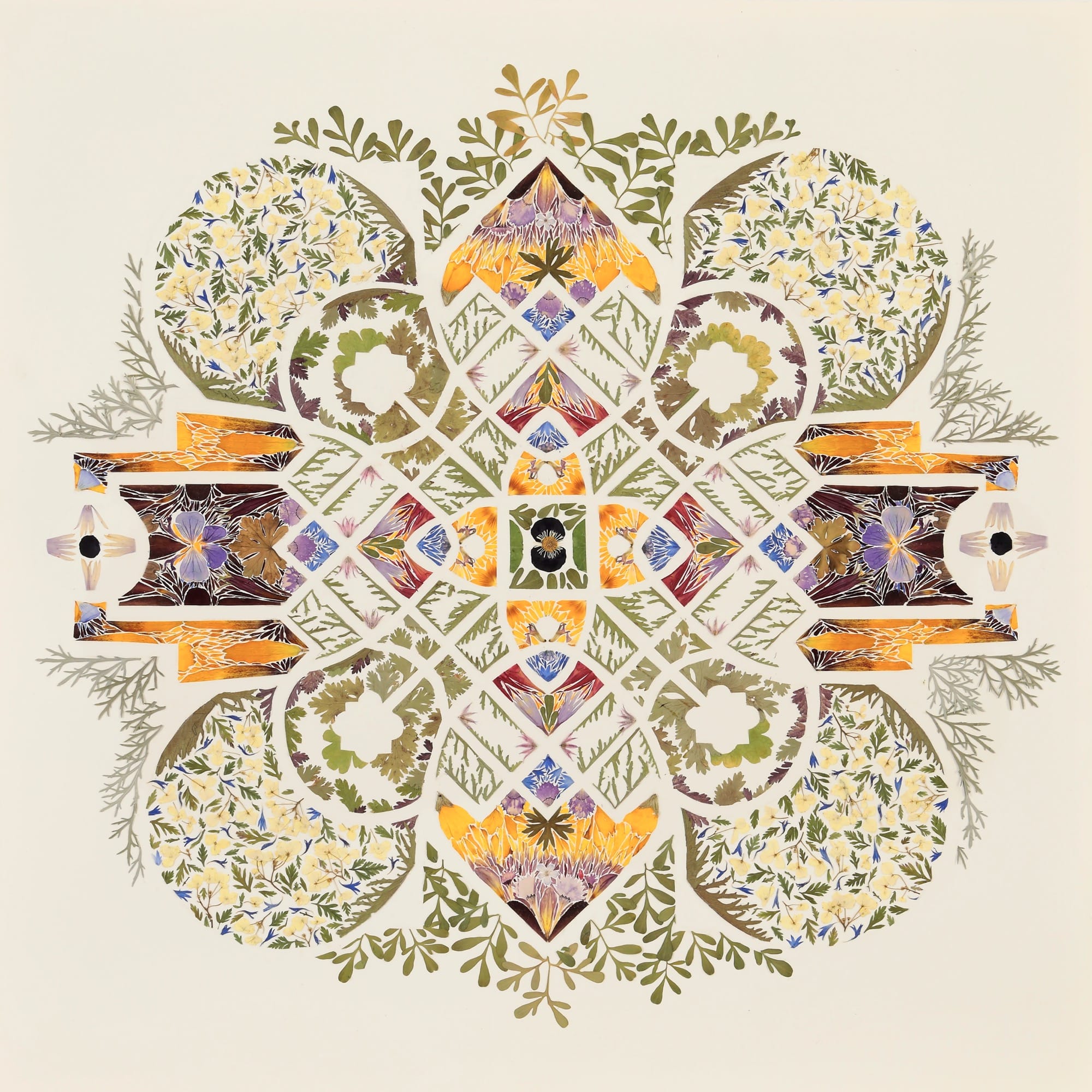 A mandala-like composition of flower petals and leaves