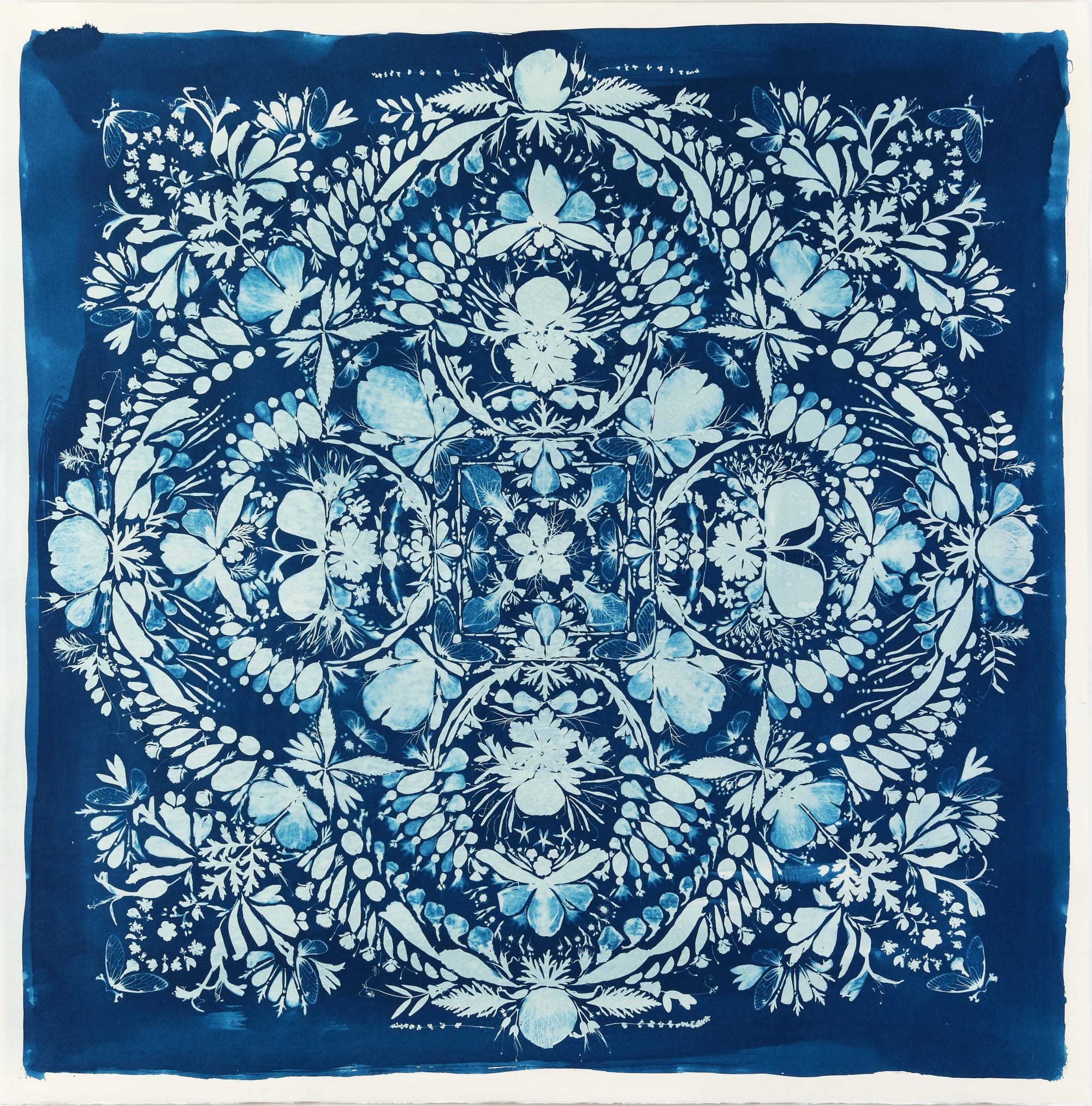 A mandala-like cyanotype composition of flower petals and leaves