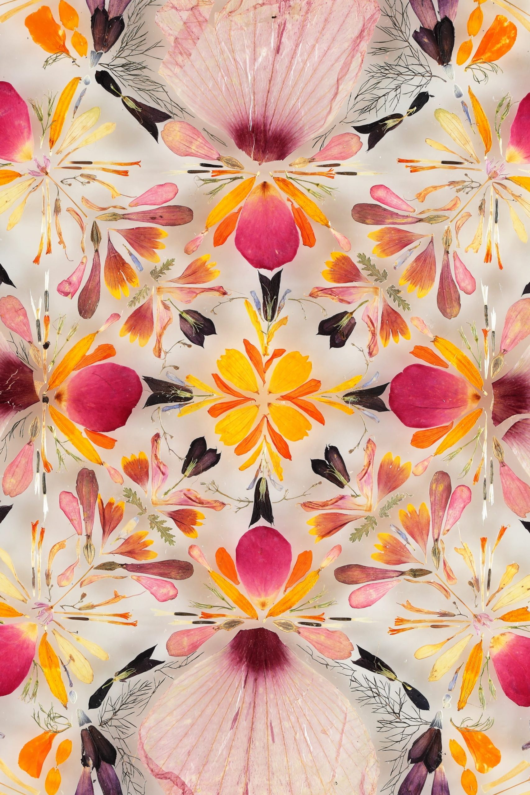 A detail of a mandala-like composition of flower petals and leaves