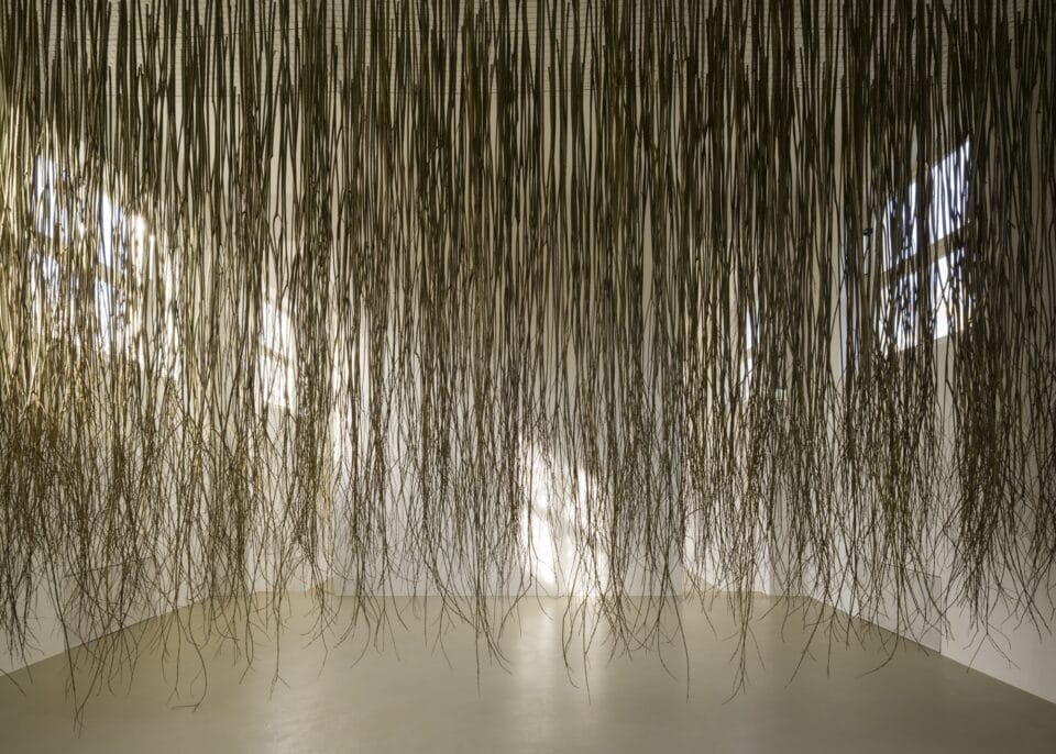 an installation of grass dangling from the ceiling