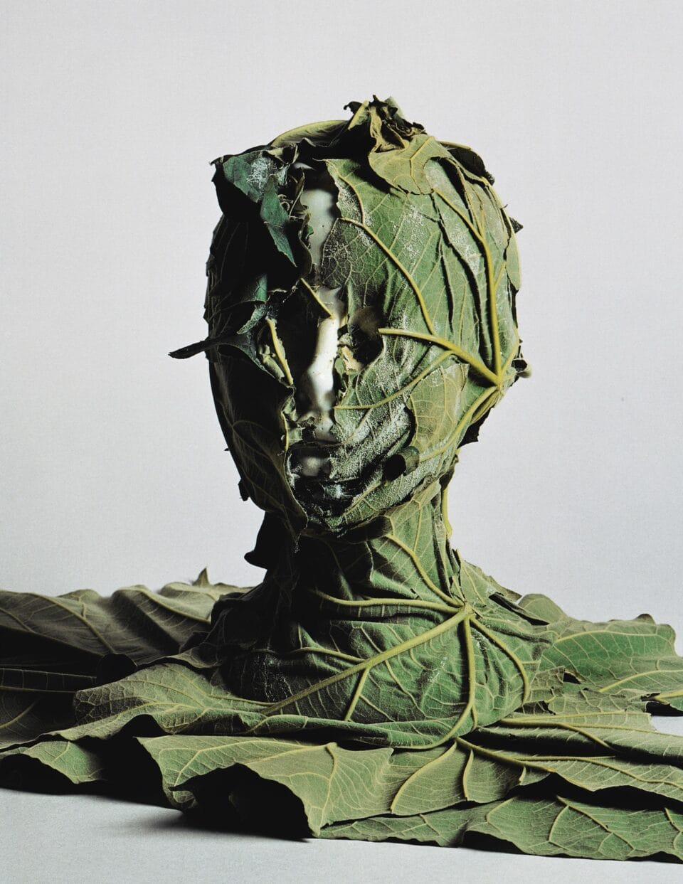 a bust covered in green leaves