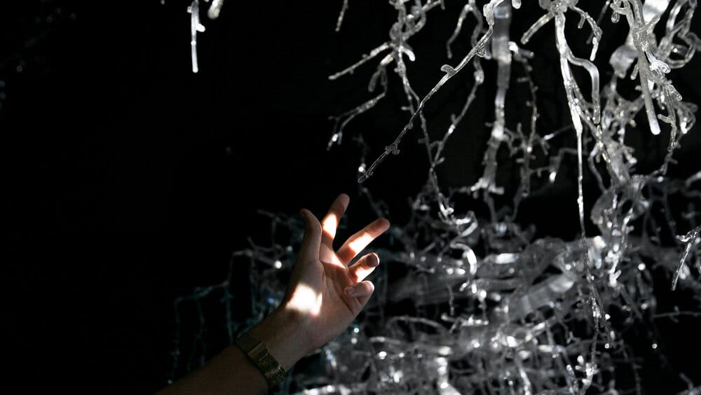 a detail of a sculpture of tree roots that illuminate with data