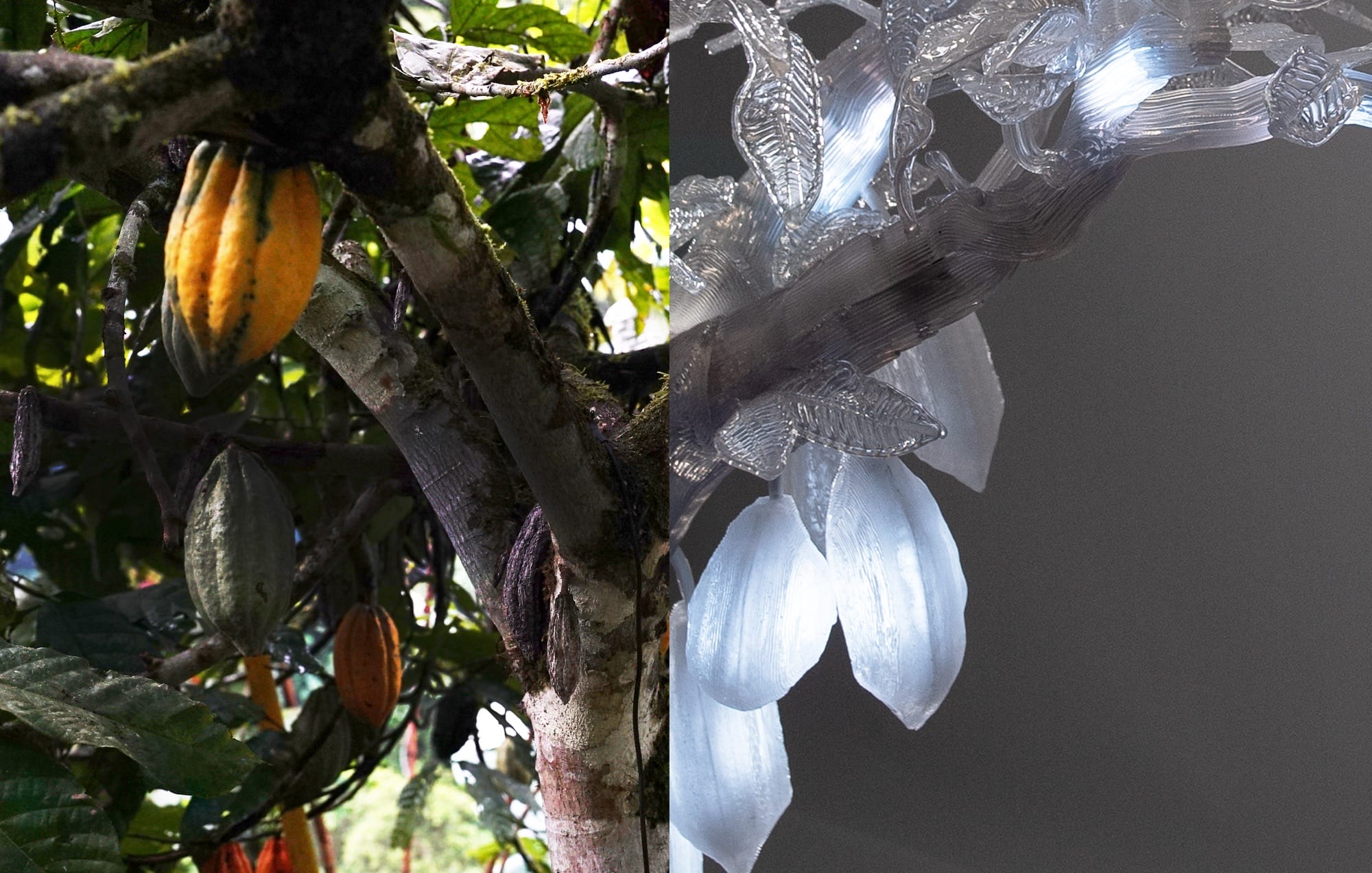 a dual image of a cacao tree and a sculptural copy with illuminated elements