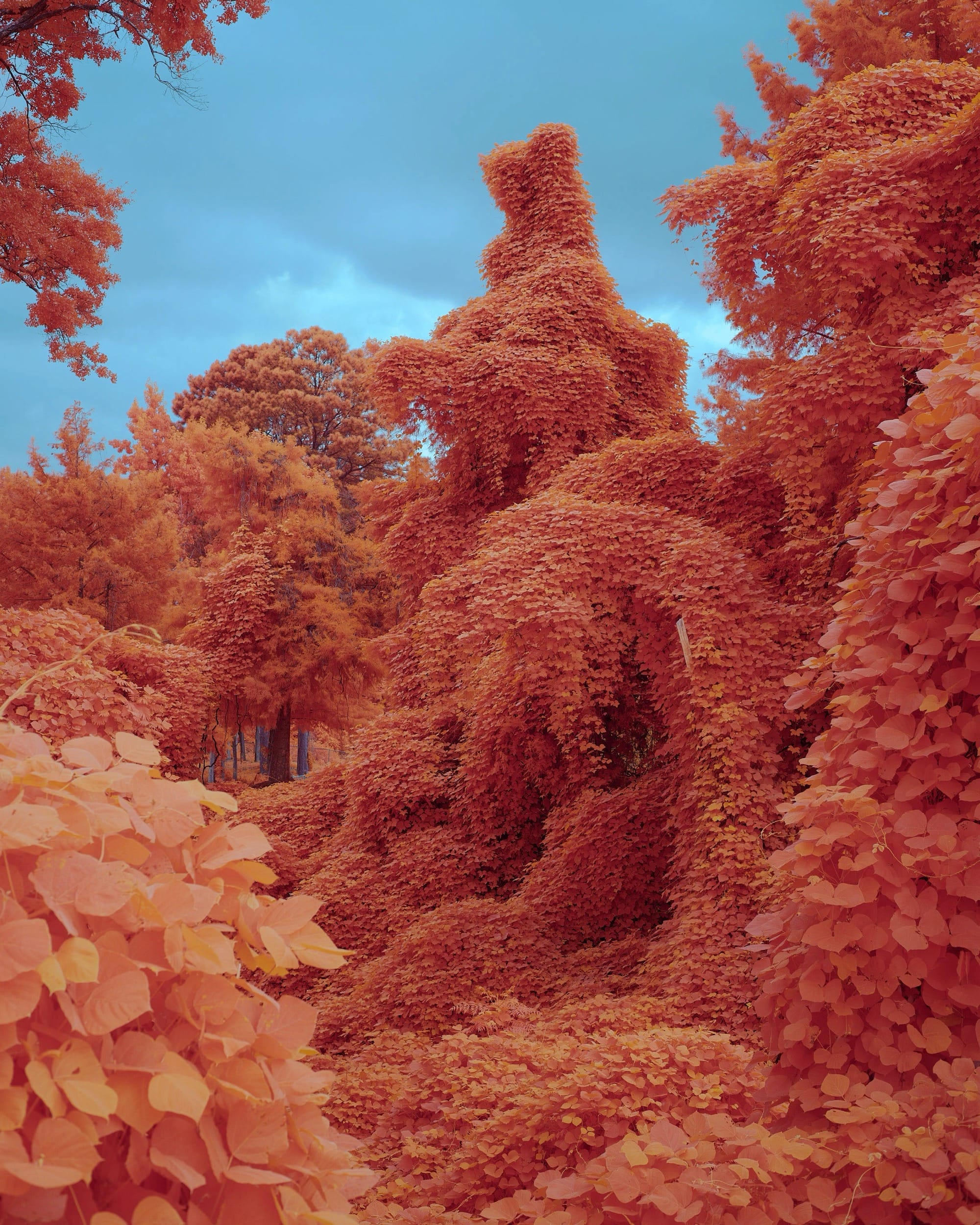 Kudzu Engulfs Everything in Its Path in Zac Henderson’s ‘Palimpsest’